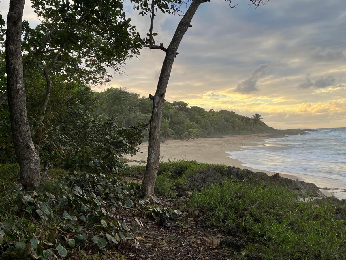 Beach Cabarete Ecolodge De Luxe Maravilla Encuentro Surf, Kite Exterior foto